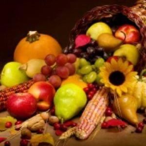 Meet your Posher, Dori